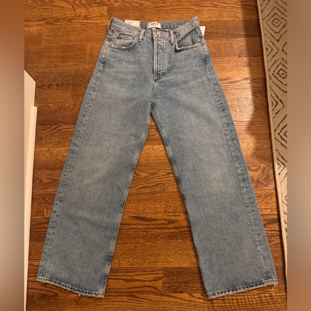 Agolde Ren High Waist Wide Leg in disclosure wash